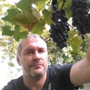 ���������� ������, ���� ������� �������, 56 ���, ������������ ��� ����� � ���������, c�������� ���������