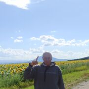 ���������� ���������, ���� ������� �����, 53 ����, ������������ ��� ������, ����� � ���������, c�������� ���������