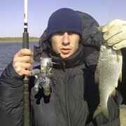 ���������� ���������, ���� ������� �������, 40 ���, ������������ ��� ������, ����� � ���������, c�������� ���������