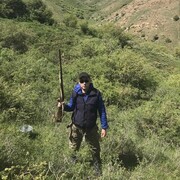 ���������� �����, ���� ������� ��������, 32 ����, ������������ ��� ������