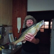  ,   Andrej, 61 ,   