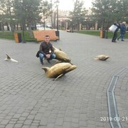 ���������� �������, ���� ������� ������, 46 ���, ������������ ��� ������, ����� � ���������, c�������� ���������