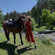 ���������� �����������, ���� ������� ����, 27 ���, ������������ ��� c�������� ���������, ���������