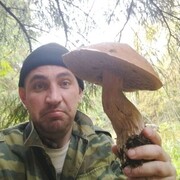  ,  , 39