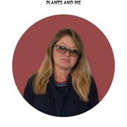 ���������� ������, ���� ������� ���, 56 ���, ������������ ��� c�������� ���������