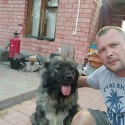 ���������� ������, ���� ������� ������, 41 ���, ������������ ��� ������, ����� � ���������