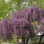  ,   , 52 ,     , c 