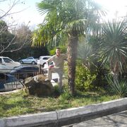 ���������� ����, ���� ������� �������, 50 ���, ������������ ��� ������, ����� � ���������, c�������� ���������, ���������