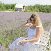 ���������� ������, ���� ������� ���������, 40 ���, ������������ ��� ����� � ���������, c�������� ���������