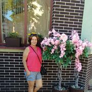 ���������� ���������, ������� ������, 53