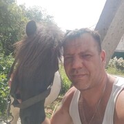 ���������� �������, ���� ������� �������, 43 ����, ������������ ��� ������, ����� � ���������, c�������� ���������