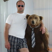 ���������� ��������, ���� ������� ����, 45 ���, ������������ 