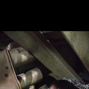 ���������� ������������, ���� ����� ������, 22 ����, ������������ ��� ����� � ���������, c�������� ���������, ���������