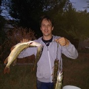 ���������� ���������, ���� ������� �����, 42 ����, ������������ ��� ������, ���������