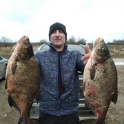 ���������� ������, ���� ������� ���������, 39 ���, ������������ ��� ������, ����� � ���������, c�������� ���������