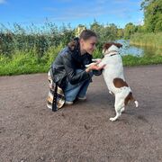 ���������� �����, ��������