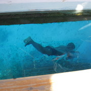 ���������� ��������, ���� ������� 89084206077, 51 ���, ������������ 