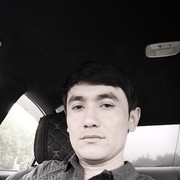 ���������� �������, ���� ������� Vohid, 38 ���, ������������ ��� ������, ����� � ���������, c�������� ���������, ���������