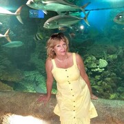  ,   , 50 ,   c 