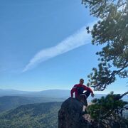 ���������� �����������, ���� ����� ���������, 24 ����, ������������ ��� ������, ����� � ���������, ���������