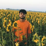 ���������� ������, ���� ����� �����, 22 ����, ������������ ��� ������, ����� � ���������