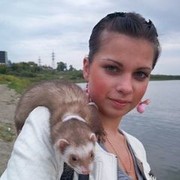 ���������� �����, ���� ������� �����, 32 ����, ������������ ��� ������, ����� � ���������, c�������� ���������