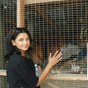 ���������� �������, ���� ������� �������, 37 ���, ������������ 