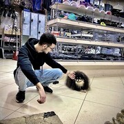 ���������� �������, ���� ����� ������, 22 ����, ������������ ��� ������, ����� � ���������