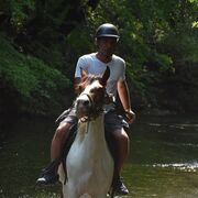 ���������� ������, ���� ������� Ken, 41 ���, ������������ ��� ������, ����� � ���������