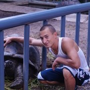 ���������� �����������, ���� ������� ������, 41 ���, ������������ ��� ������, ����� � ���������, c�������� ���������