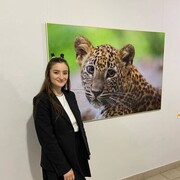 ���������� ������, ���� ������� �����, 28 ���, ������������ ��� ������, ����� � ���������, c�������� ���������, ���������