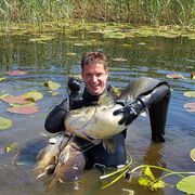 ���������� ���������, ���� ������� ������, 42 ����, ������������ ��� ������, ����� � ���������