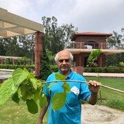 ���������� �����, ���� ������� ��������, 61 ���, ������������ ��� ������, ����� � ���������, c�������� ���������