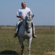 ,   C, 68 ,   