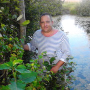  ,   , 52 ,   