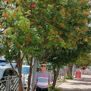  -,   , 62 ,   ,   , c 