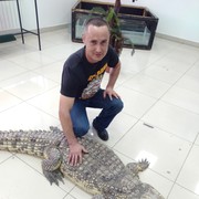 ���������� �������, ���� ������� ������, 46 ���, ������������ ��� ����� � ���������, c�������� ���������