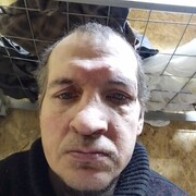  -,   , 37 ,   ,   