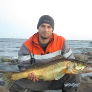 ���������� �����-���������, ���� ������� �����, 41 ���, ������������ ��� ������, ����� � ���������, c�������� ���������