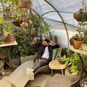 ���������� ���������, ���� ������� ����, 33 ����, ������������ ��� ������, ����� � ���������, c�������� ���������, ���������