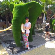 ���������� ���������, ���� ������� �������, 48 ���, ������������ ��� ������, ����� � ���������, c�������� ���������