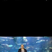 ���������� �����������, ���� ������� Alexey, 34 ����, ������������ ��� ������, ����� � ���������