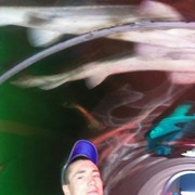 ���������� �����, ���� ������� ����, 31 ���, ������������ ��� ������