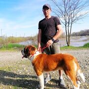 ���������� ����������, ���� ������� ���������, 45 ���, ������������ ��� ������