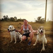 ���������� �����, ���� ������� �������, 38 ���, ������������ ��� ������, ����� � ���������, c�������� ���������