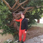  Sint-Truiden,   , 27 ,   c , 