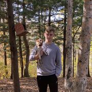 ���������� �����������, ���� ����� �����, 19 ���, ������������ ��� ������, ����� � ���������, ���������