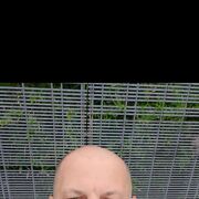  Drogheda,  , 41