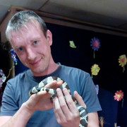 ���������� ���������, ���� ������� ������, 41 ���, ������������ ��� ������, ����� � ���������, c�������� ���������