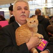 ���������� �����, ���� ������� ����, 67 ���, ������������ ��� ������, ����� � ���������, c�������� ���������